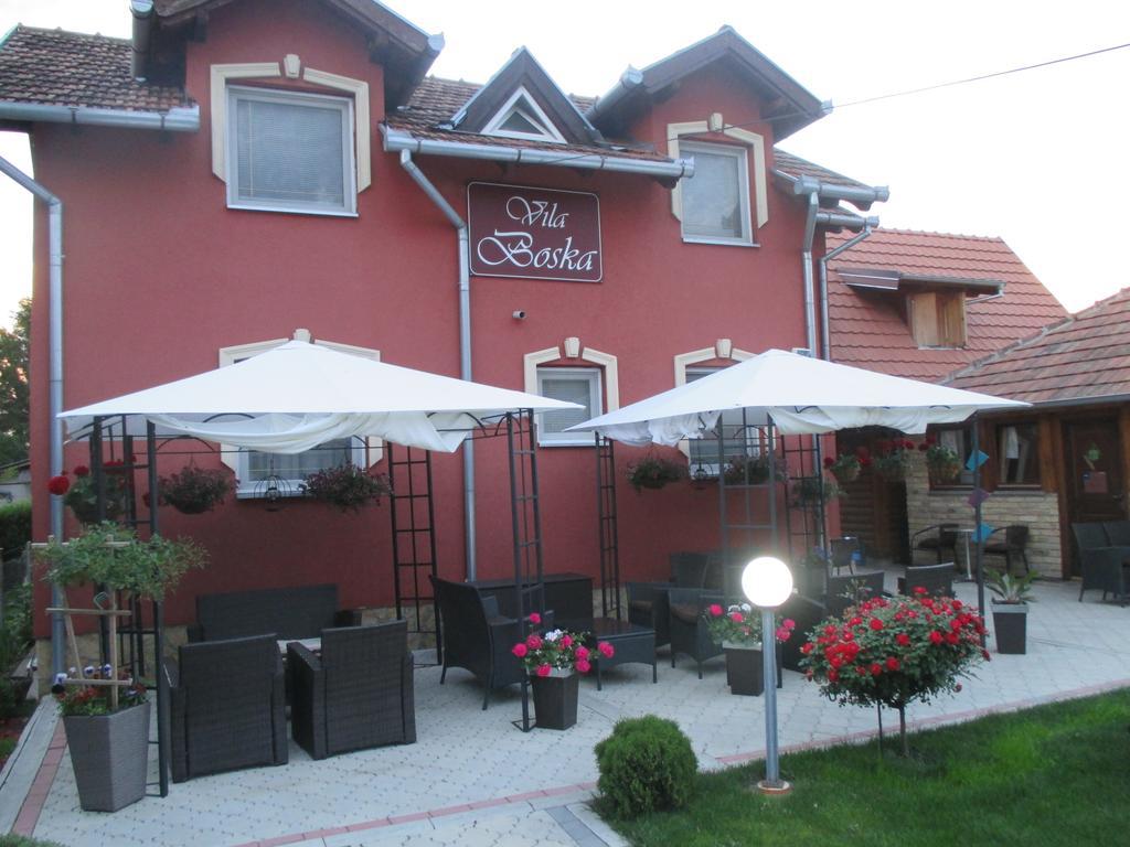 Vila Boska Palić Dış mekan fotoğraf