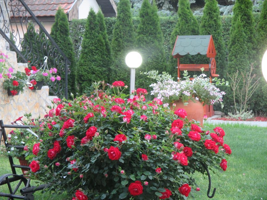Vila Boska Palić Dış mekan fotoğraf