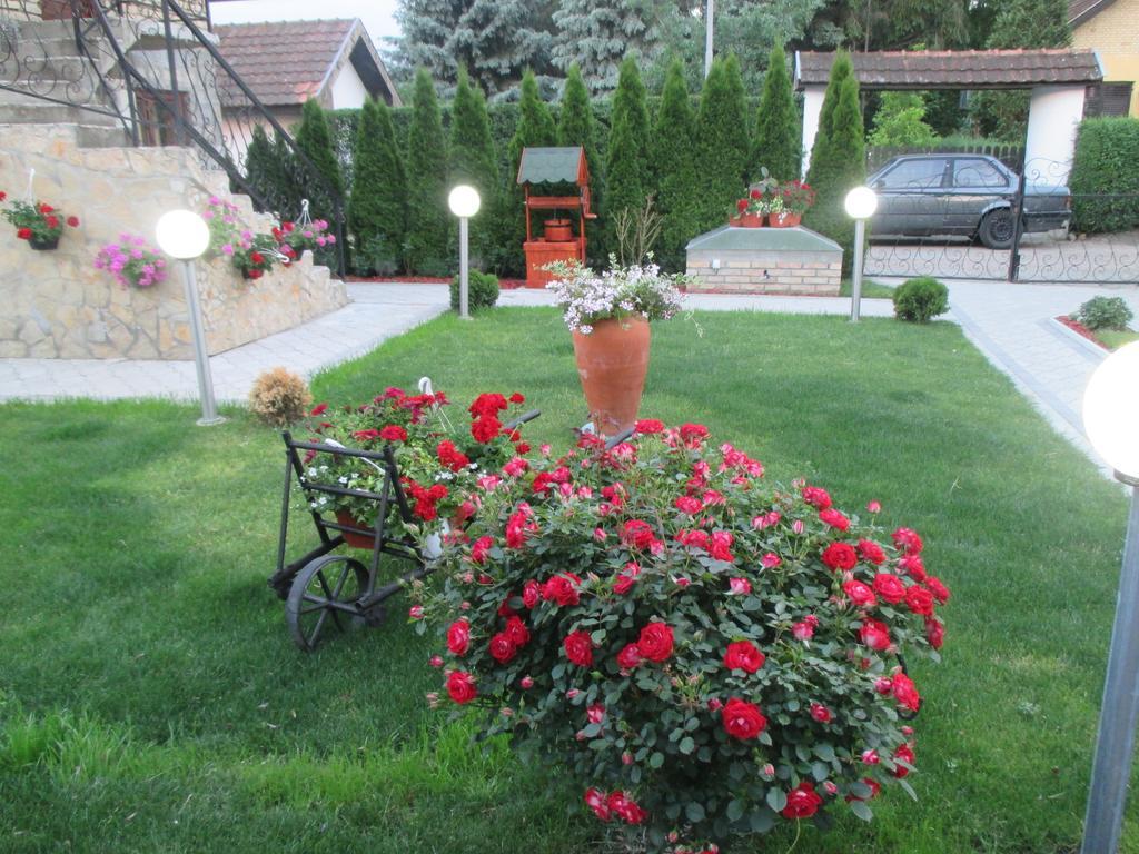 Vila Boska Palić Dış mekan fotoğraf