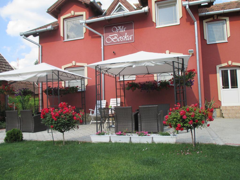 Vila Boska Palić Dış mekan fotoğraf